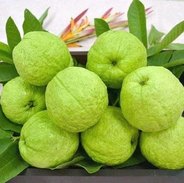 Guava - 250g