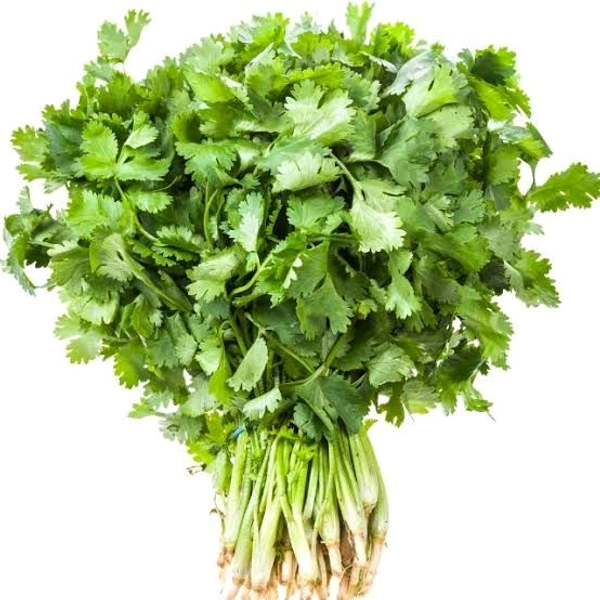 Coriander - 1 Bunch