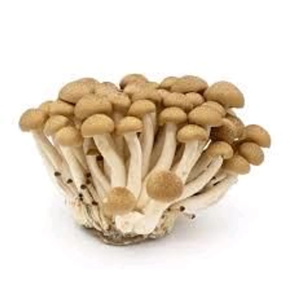 Mushroom Shimeji - 150g
