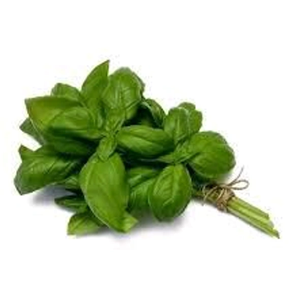 Basil - 100g