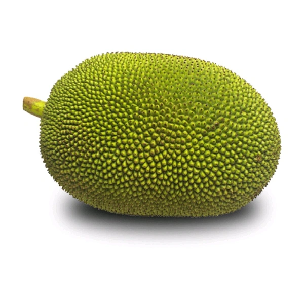Jackfruit (Raw)- 1Kg
