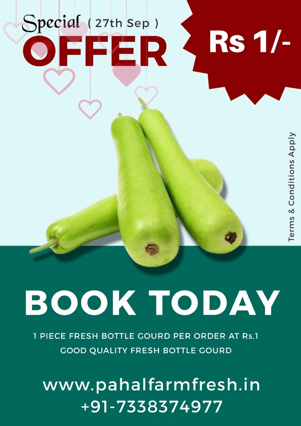 OFFER - 1 Piece Bottle Gourd.