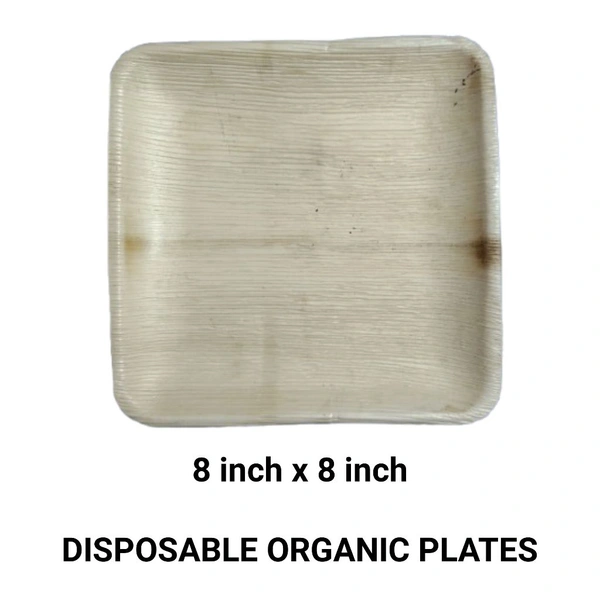 Areca Leaf Plate (8" x 8") - 25 Disposable Plates