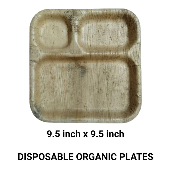 Areca Leaf 3 Partition Plate 9.5" x 9.5" Round - 25 Disposable Plates