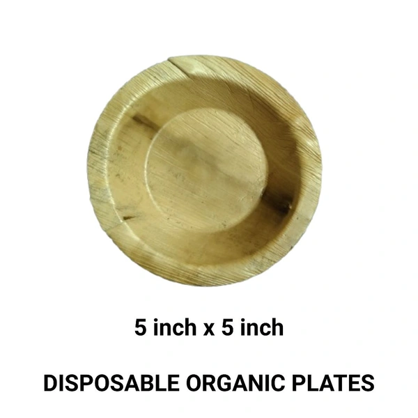 Areca Leaf Bowl 5" x 5" - 25 Disposable Boul