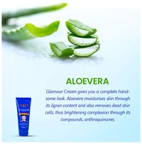 sunny Sunny Herbals Glamour Cream For Men (Enriched with Alorevea & Vitamin B3, C & E) Pack of 2  (200 g)