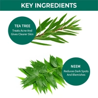 NYKAA Nykaa Naturals Tea Tree & Neem Purifying Face Wash for Acne