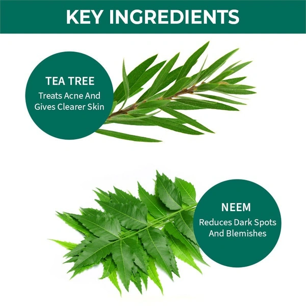 NYKAA Nykaa Naturals Tea Tree & Neem Purifying Face Wash for Acne