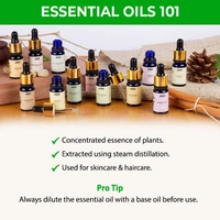 NYKAA Nykaa Naturals Tea Tree Essential Oil For Acne & Hair Fall Control- 100% Natural - 10ml