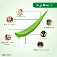 Brihans Greenleaf Aloe Vera Skin Gel - 500GM