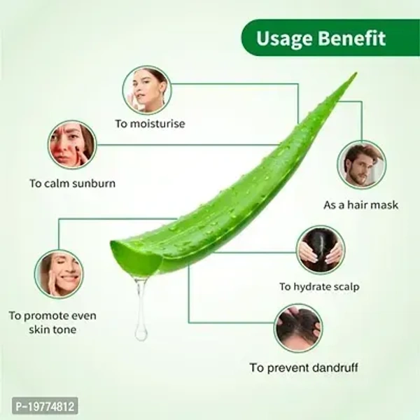 Brihans Greenleaf Aloe Vera Skin Gel - 500GM