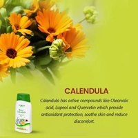 Sunny Herbals Bakson Sunny Herbals Boro Calendula Cool & Fresh Talc (100 X 2) (2 x 100 g)