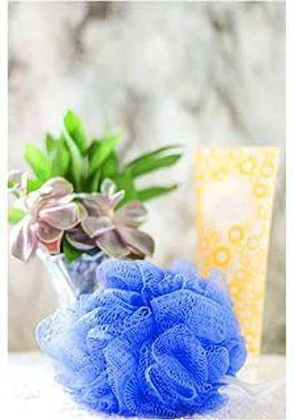Stnemrag Loofah (Pack of 2, Multicolor) - 1