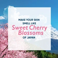 Nykaa Wanderlust Japanese Cherry Blossom Body Lotion- 8hr Moisture Lock + Non-Greasy + 0% Paraben