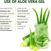 GREEN LEAF Greenleaf Aloe Vera Skin Gel 60gm x 6 Pack of 