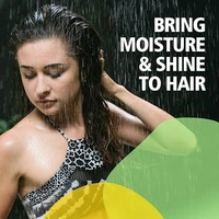 SUNNY Arnica Shampoo (150ml) (150 ml)