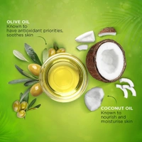 Rexona Coconut and Olive Oil Soap, 100g (Pack of 4) (4 x 25 g)
