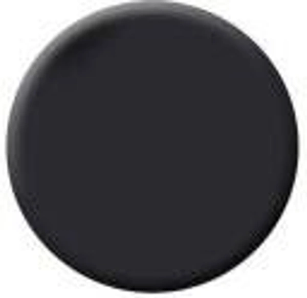 Colorbar COLORBAR VEGAN NAIL LACQUER-(244- Sleeping Beauty) 8 ML Black () - 1