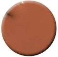 Colorbar COLORBAR VEGAN NAIL LACQUER (Creme Brulee-142) Brown ()
