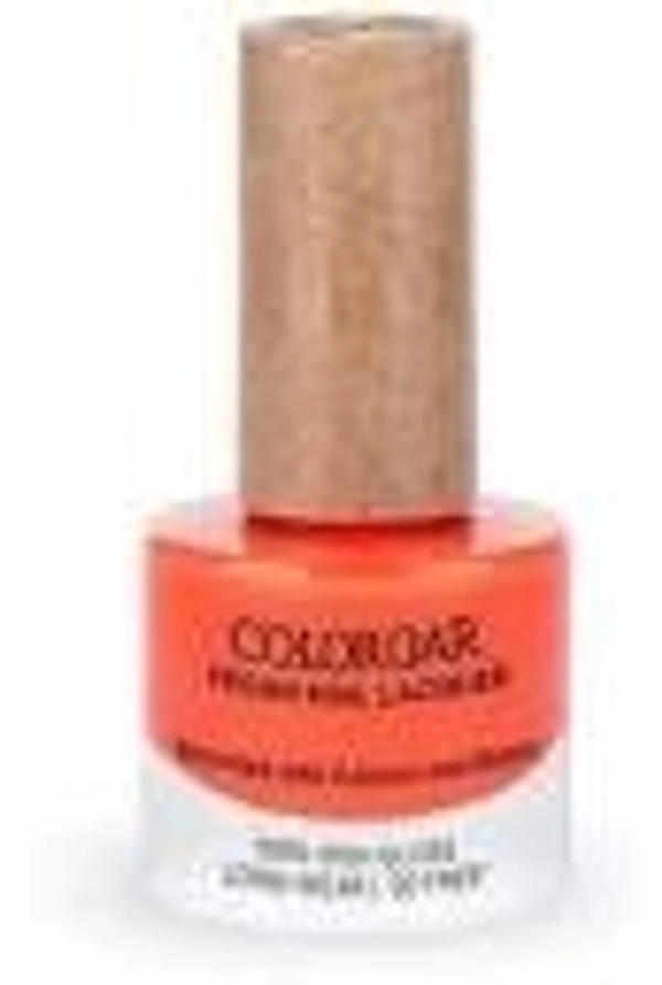 colorbar COLORBAR VEGAN NAIL LACQUER (Ditchin U-044)+ remover (2 Items in the set)