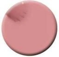 Colorbar COLORBAR VEGAN NAIL LACQUER (Dremy-036)+ remover (2 Items in the set)