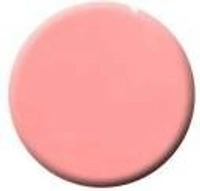 Colorbar COLORBAR VEGAN NAIL LACQUER (Too Much-262)+ remover (2 Items in the set) - 1