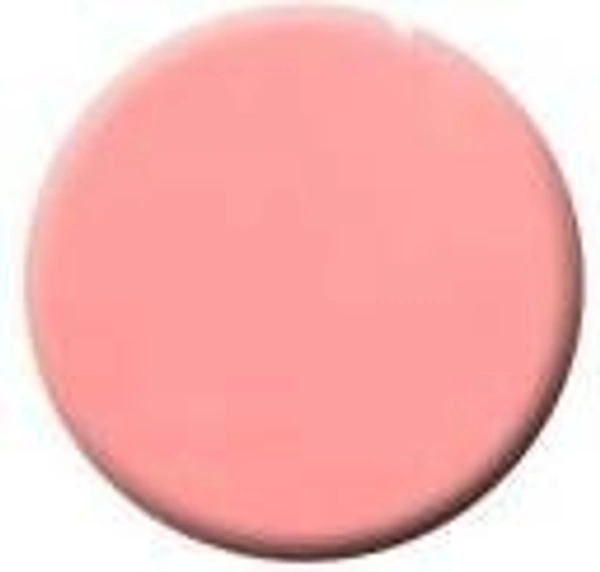 Colorbar COLORBAR VEGAN NAIL LACQUER (Too Much-262)+ remover (2 Items in the set) - 1