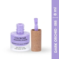 COLORBAR VEGAN NAIL LACQUER (Dark Orchid-066) 8ML Mauve ()