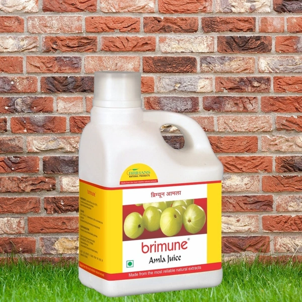 GREEN LEAF Brimune Amla Juice (1 L)