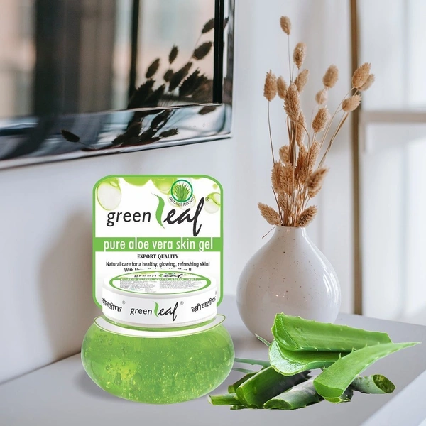 GREEN LEAF Green Leaf Pure Aloe Vera Skin Gel  ( 120gm x 2 Pack Of )