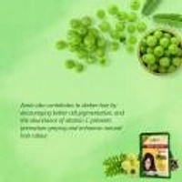 SUNNY BURGUNDY , Green ()
