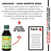 MAHABHRINGRAJ OIL MAHABHRINGARAJ Mahabhringraj Oil 200Ml,Scalp Massaging Oil Ramakrishna Pharma Brand-Ayurvedic Medicine,Pack Of 3