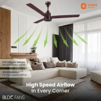 1200mm Ecotech Prime BLDC 5 Star Rated Ceiling Fan With Remote  - 1200 mm, brown
