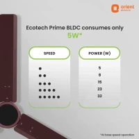 1200mm Ecotech Prime BLDC 5 Star Rated Ceiling Fan With Remote  - 1200 mm, brown