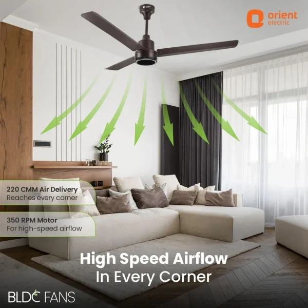 1200mm Ecotech Prime BLDC 5 Star Rated Ceiling Fan With Remote  - 1200 mm, Bronze Copper