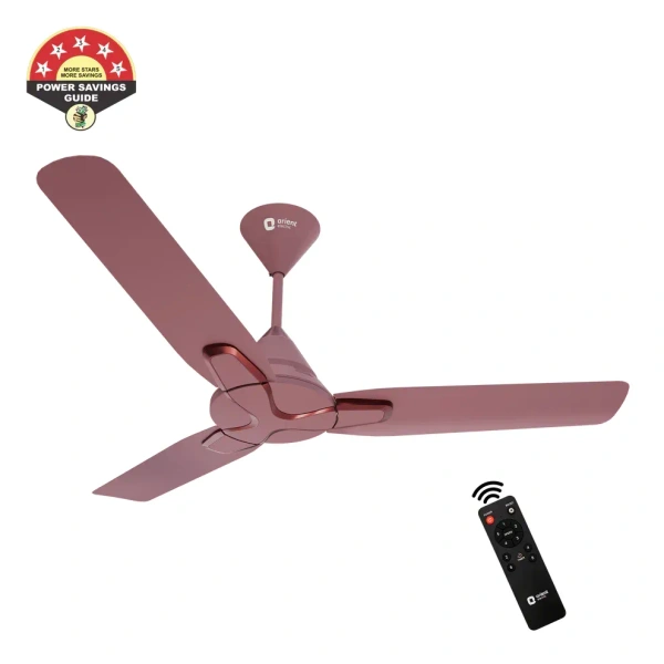 1200mm Jazz BLDC Decorative Ceiling Fan With Remote  - 1200 mm, Ash Rose