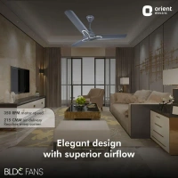 1200mm Jazz BLDC Decorative Ceiling Fan With Remote  - 1200 mm, Daytone Grey