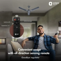 1200mm Jazz BLDC Decorative Ceiling Fan With Remote  - 1200 mm, Daytone Grey