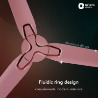 1200mm Jazz BLDC Decorative Ceiling Fan With Remote  - 1200 mm, Ash Rose