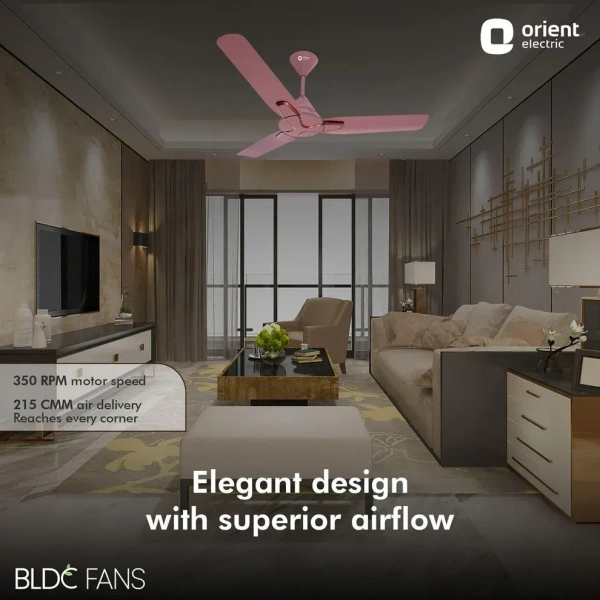 1200mm Jazz BLDC Decorative Ceiling Fan With Remote  - 1200 mm, Ash Rose