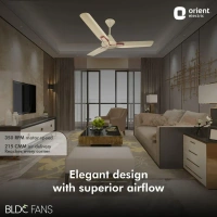 1200mm Jazz BLDC Decorative Ceiling Fan With Remote  - 1200 mm, Royal Manioca