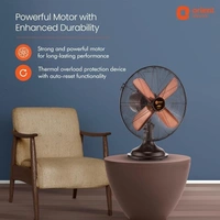 Orient Electric RETRO T16RUBBED BRONZE 400 mm 4 Blade Table Fan  (Rubbed Bronze, Pack of 1) - 400mm, Rubbed Bronze