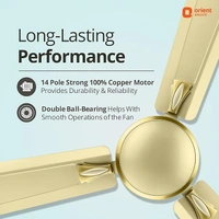 Orient Decorative Gratia Shine HS   1 Star Ceiling Fan - 1200 mm, Metallic Ivory