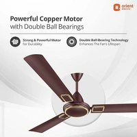 Orient Electric 1200 mm Falcon Deco Ceiling Fan - 1200 mm, brown