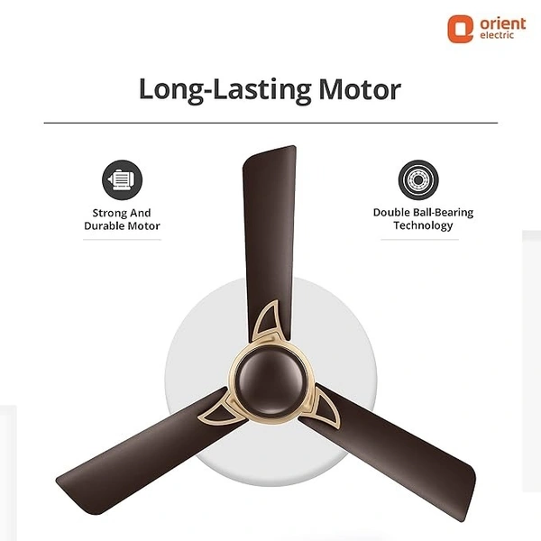 Orient Electric Kiara Shine 1200mm High Speed Ceiling Fan - 1200 mm, Hickory Brown