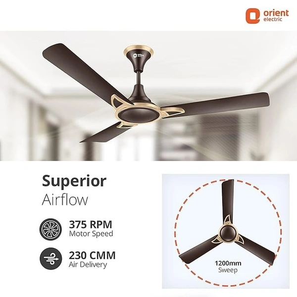 Orient Electric Kiara Shine 1200mm High Speed Ceiling Fan - 1200 mm, Hickory Brown