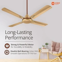 Orient Electric Quadro Ornamental 1200mm | 4 Blade, Premium BEE Star Rated Ceiling Fan  - 1200 mm, Golden Chocolate