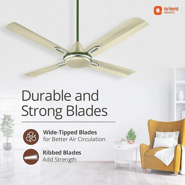 Orient Electric Quadro Ornamental 1200mm | 4 Blade, Premium BEE Star Rated Ceiling Fan  - 1200 mm, Oyester Sea Green