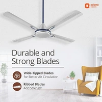 Orient Electric Quadro Ornamental 1200mm | 4 Blade, Premium BEE Star Rated Ceiling Fan  - 1200 mm, Silver Blue