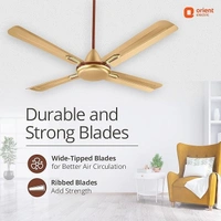 Orient Electric Quadro Ornamental 1200mm | 4 Blade, Premium BEE Star Rated Ceiling Fan  - 1200 mm, Golden Chocolate